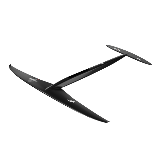 PLANE EAGLE X 500 (DW 136 XS)