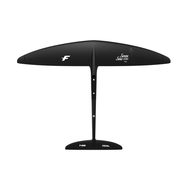 PLANE SEVEN SEAS 1100 (CARVING 178 XXS)