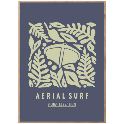 AERIAL SURF POSTER