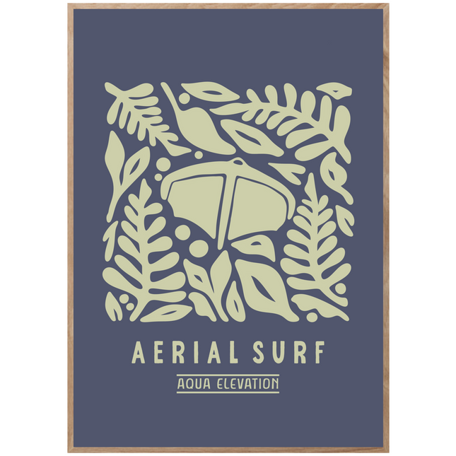 AERIAL SURF POSTER
