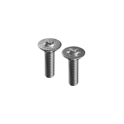 M8-25mm tapered head screws (TITANIUM - T40 torx) x2
