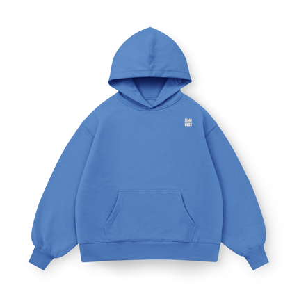 Felpa con cappuccio Oversized Aerial Surf